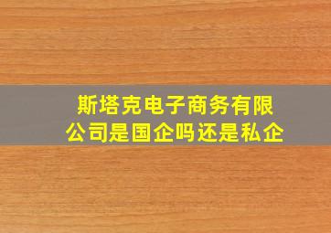 斯塔克电子商务有限公司是国企吗还是私企