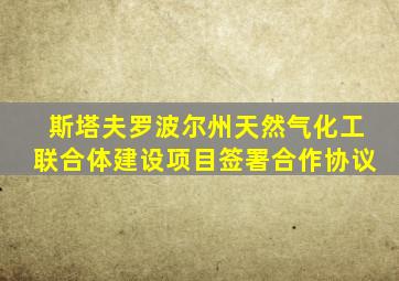 斯塔夫罗波尔州天然气化工联合体建设项目签署合作协议