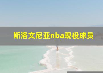 斯洛文尼亚nba现役球员