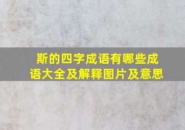 斯的四字成语有哪些成语大全及解释图片及意思