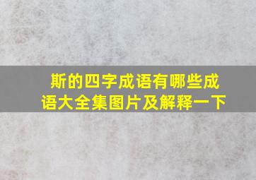 斯的四字成语有哪些成语大全集图片及解释一下