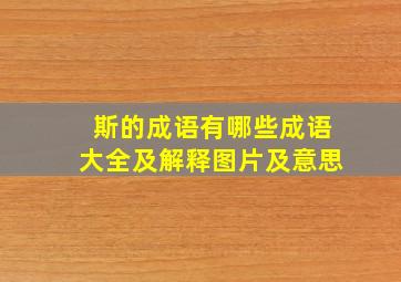 斯的成语有哪些成语大全及解释图片及意思