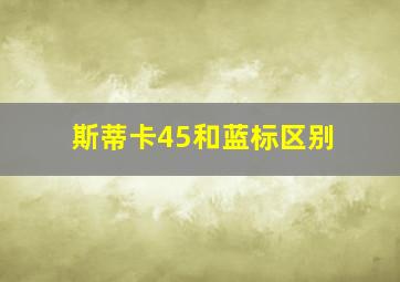 斯蒂卡45和蓝标区别