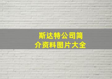 斯达特公司简介资料图片大全