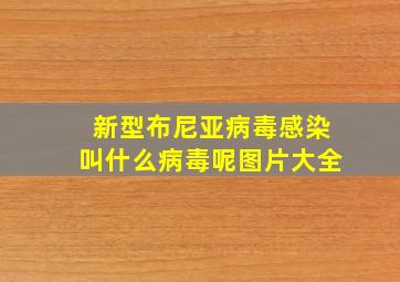 新型布尼亚病毒感染叫什么病毒呢图片大全