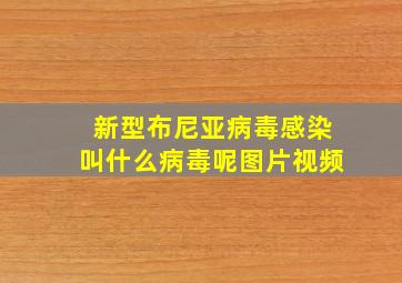 新型布尼亚病毒感染叫什么病毒呢图片视频