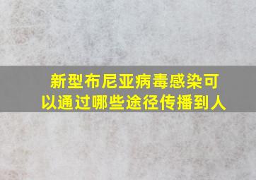 新型布尼亚病毒感染可以通过哪些途径传播到人