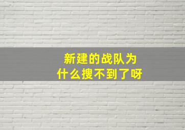 新建的战队为什么搜不到了呀