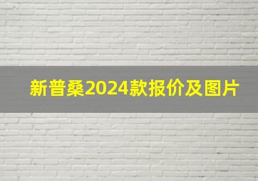 新普桑2024款报价及图片