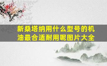 新桑塔纳用什么型号的机油最合适耐用呢图片大全