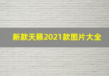 新款天籁2021款图片大全