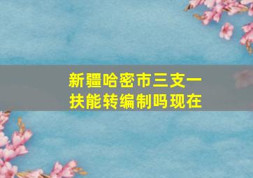 新疆哈密市三支一扶能转编制吗现在