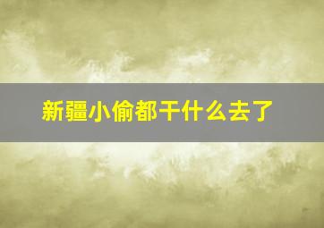 新疆小偷都干什么去了