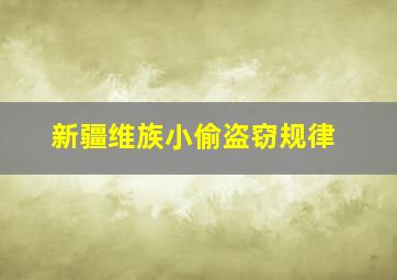 新疆维族小偷盗窃规律