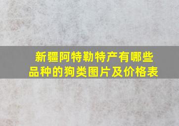 新疆阿特勒特产有哪些品种的狗类图片及价格表