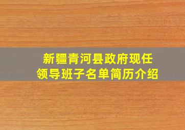 新疆青河县政府现任领导班子名单简历介绍