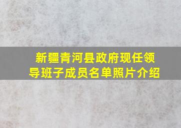 新疆青河县政府现任领导班子成员名单照片介绍