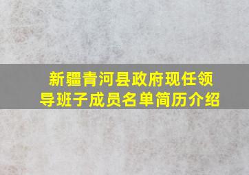 新疆青河县政府现任领导班子成员名单简历介绍