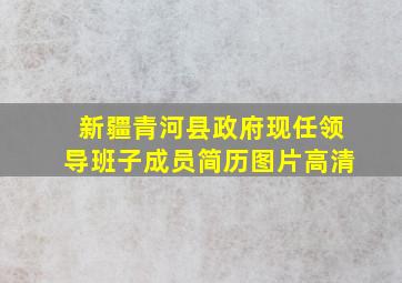 新疆青河县政府现任领导班子成员简历图片高清