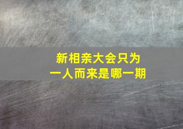 新相亲大会只为一人而来是哪一期