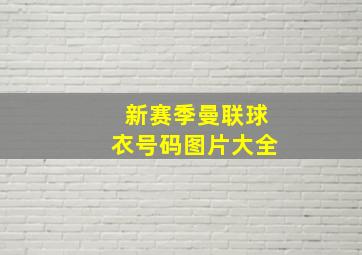 新赛季曼联球衣号码图片大全