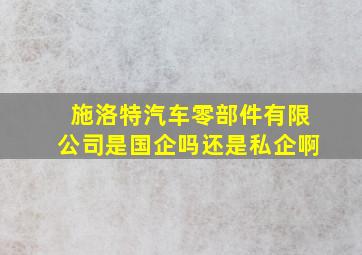 施洛特汽车零部件有限公司是国企吗还是私企啊