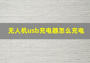 无人机usb充电器怎么充电