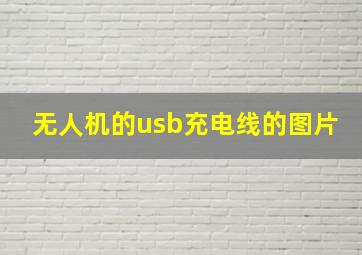 无人机的usb充电线的图片