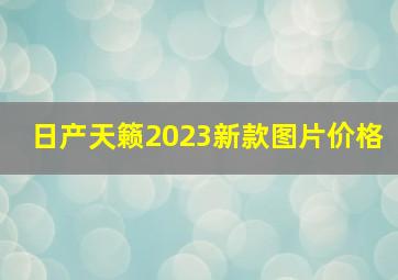 日产天籁2023新款图片价格