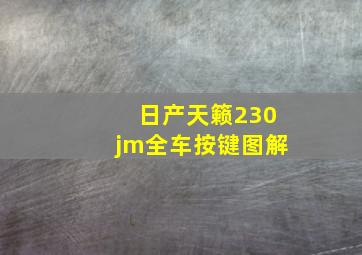 日产天籁230jm全车按键图解