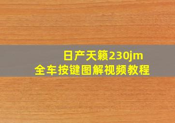 日产天籁230jm全车按键图解视频教程