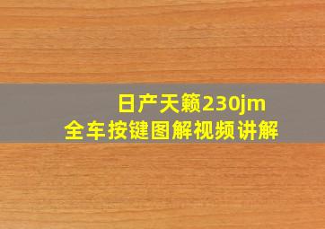 日产天籁230jm全车按键图解视频讲解