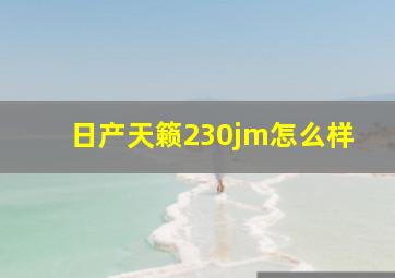 日产天籁230jm怎么样