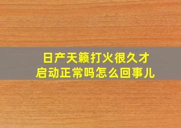 日产天籁打火很久才启动正常吗怎么回事儿