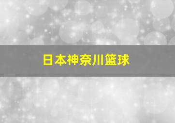 日本神奈川篮球