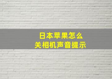 日本苹果怎么关相机声音提示