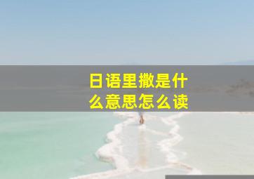 日语里撒是什么意思怎么读