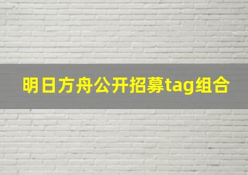 明日方舟公开招募tag组合