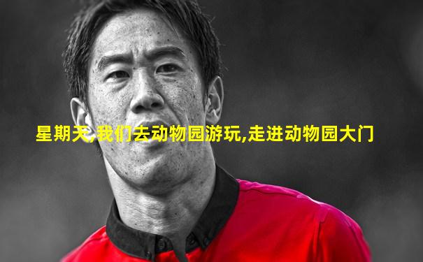 星期天,我们去动物园游玩,走进动物园大门