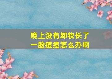 晚上没有卸妆长了一脸痘痘怎么办啊