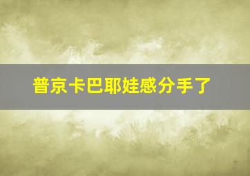 普京卡巴耶娃感分手了