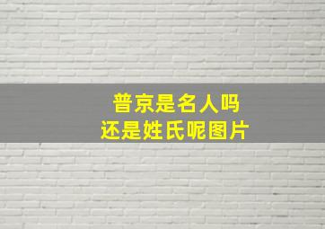 普京是名人吗还是姓氏呢图片