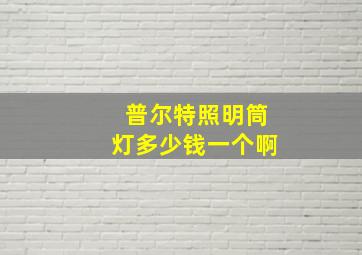 普尔特照明筒灯多少钱一个啊