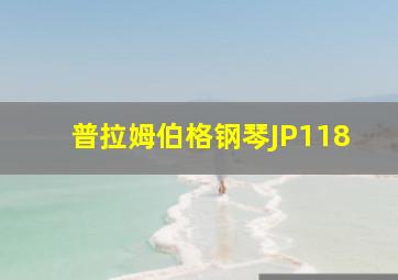 普拉姆伯格钢琴JP118