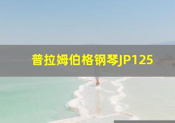 普拉姆伯格钢琴JP125