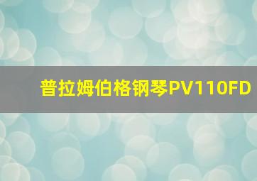 普拉姆伯格钢琴PV110FD