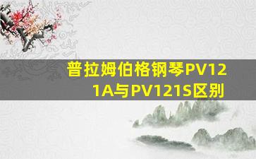 普拉姆伯格钢琴PV121A与PV121S区别