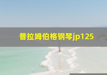 普拉姆伯格钢琴jp125