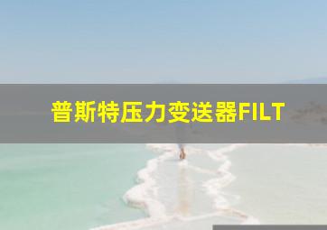 普斯特压力变送器FILT