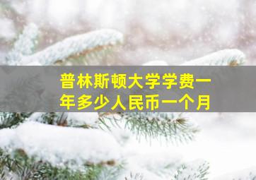 普林斯顿大学学费一年多少人民币一个月